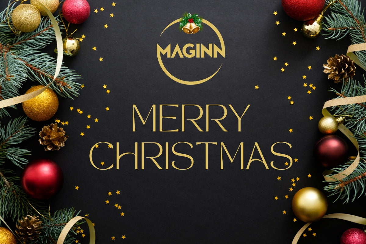 Maginn Christmas 2024 Blog Picture